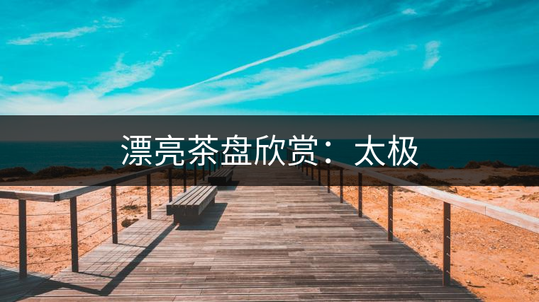 漂亮茶盤欣賞:太極 漂亮茶盤欣賞:太極