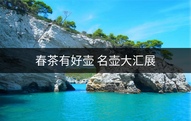 春茶有好壺 名壺大匯展