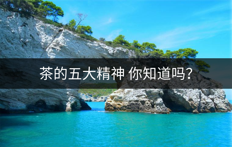 茶的五大精神 你知道嗎？