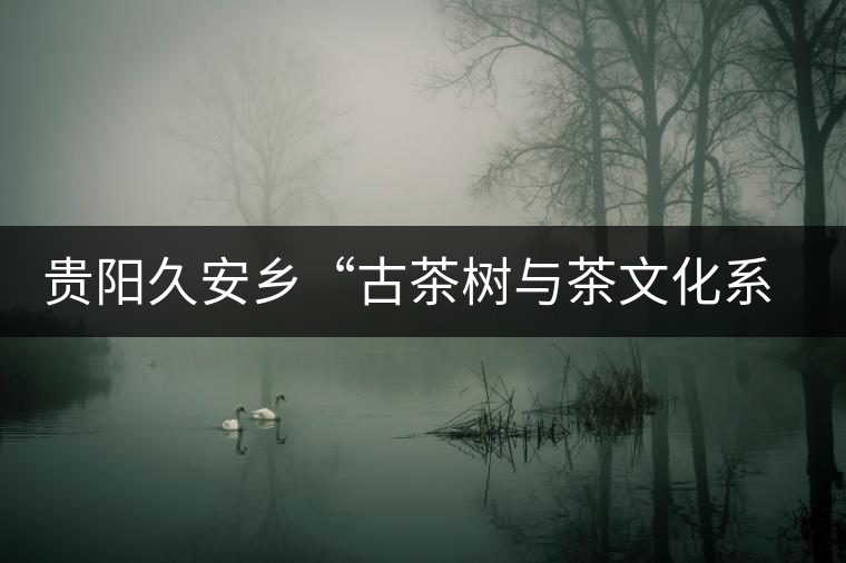 貴陽(yáng)久安鄉(xiāng)“古茶樹(shù)與茶文化系統(tǒng)”入選中國(guó)重要文化遺產(chǎn)