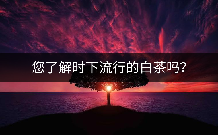 您了解時(shí)下流行的白茶嗎？