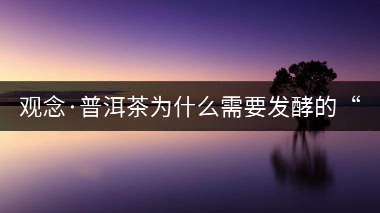 觀念·普洱茶為什么需要發(fā)酵的“載體”