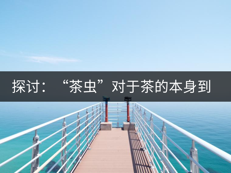 探討：“茶蟲”對于茶的本身到底是好是壞？