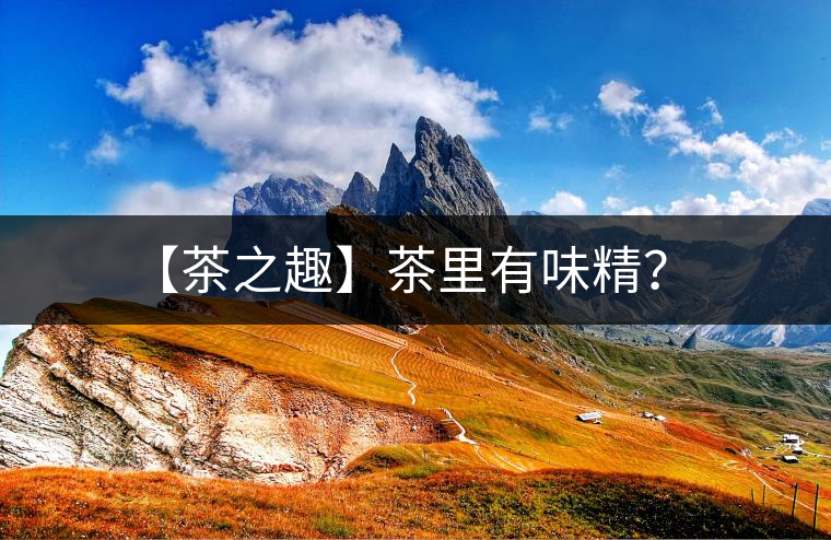 【茶之趣】茶里有味精？