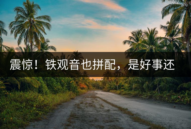 震驚！鐵觀音也拼配，是好事還是壞事？