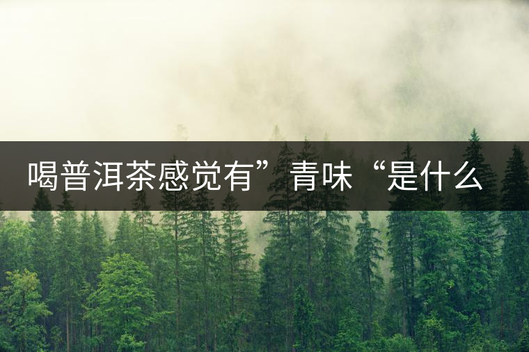 喝普洱茶感覺有”青味“是什么原因？