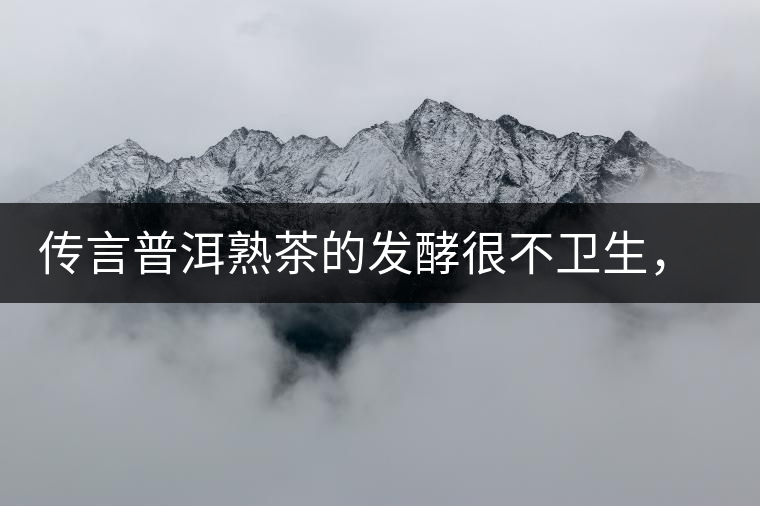 傳言普洱熟茶的發(fā)酵很不衛(wèi)生，是真的嗎？