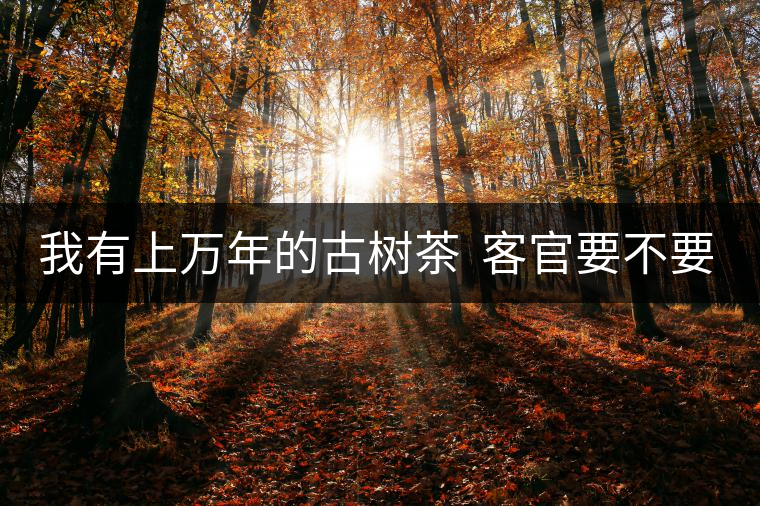 我有上萬(wàn)年的古樹(shù)茶  客官要不要嘗嘗？
