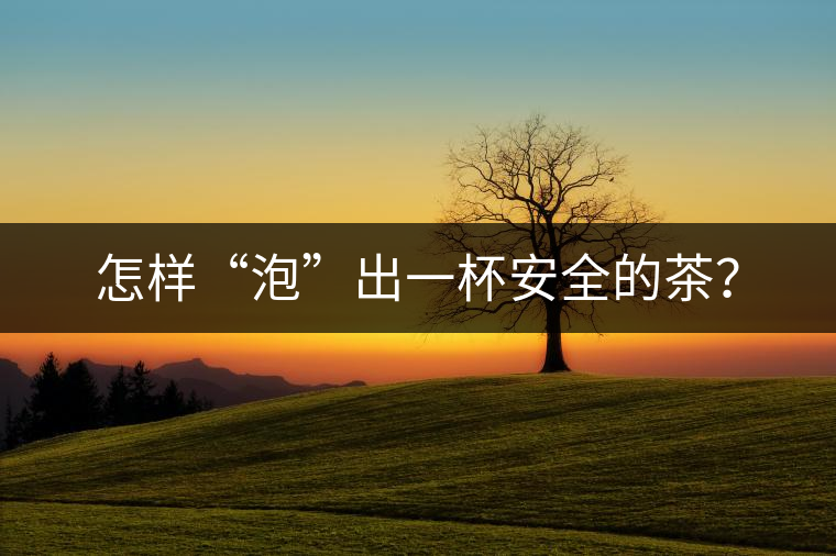 怎樣“泡”出一杯安全的茶？