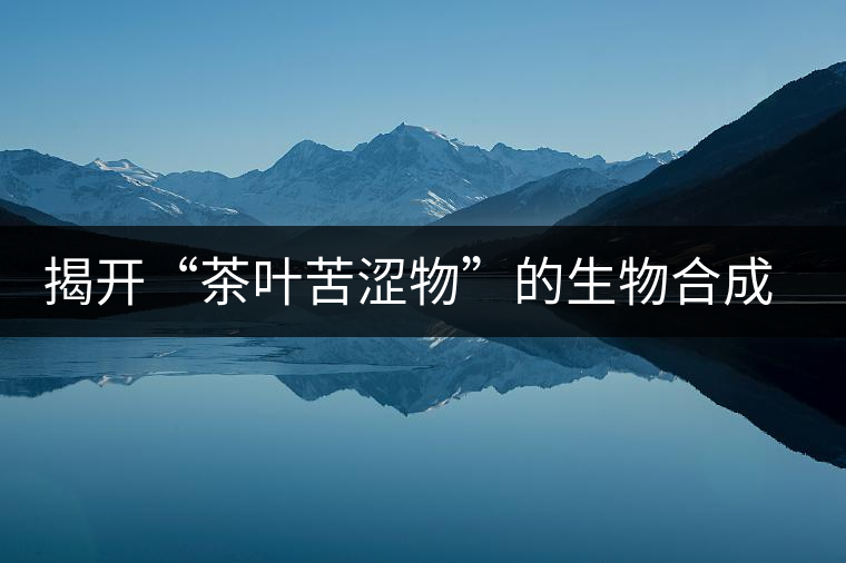 揭開(kāi)“茶葉苦澀物”的生物合成之謎 揭開(kāi)“茶葉苦澀物”的生物合成之謎