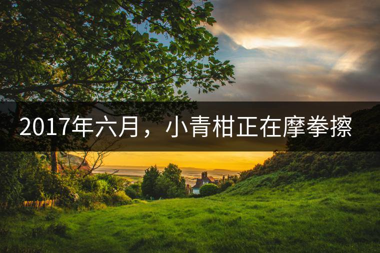 2017年六月，小青柑正在摩拳擦掌