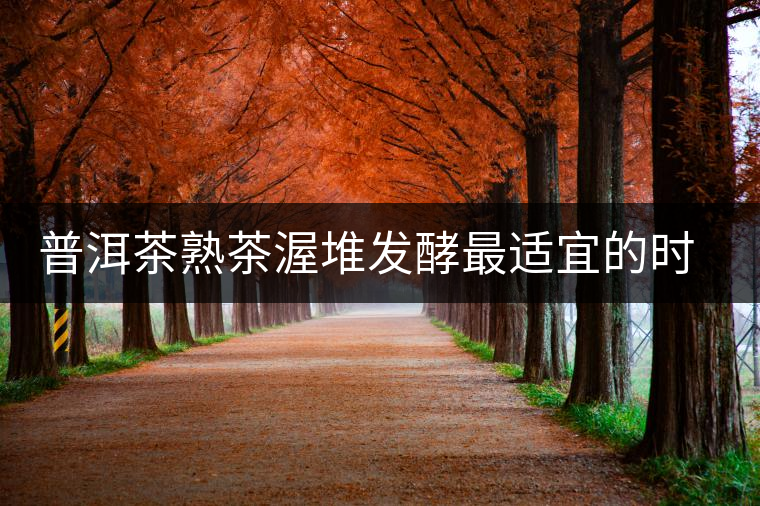 普洱茶熟茶渥堆發(fā)酵最適宜的時(shí)期是什么時(shí)候？