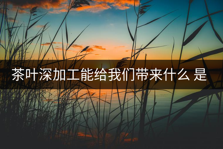 茶葉深加工能給我們帶來(lái)什么 是利還是弊呢？