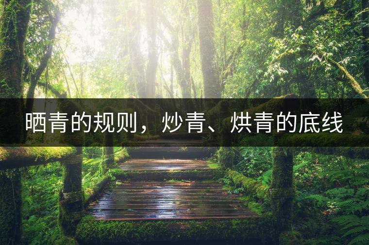 曬青的規(guī)則，炒青、烘青的底線