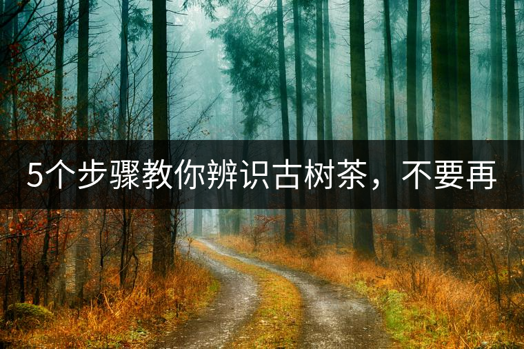 5個(gè)步驟教你辨識(shí)古樹茶，不要再被騙了！