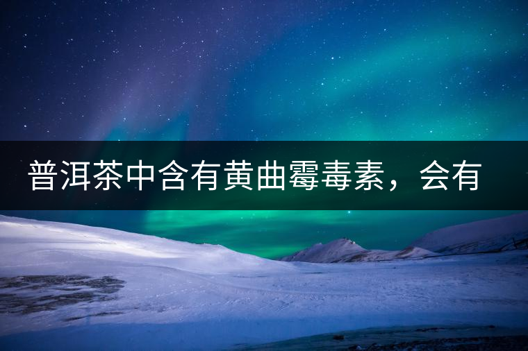 普洱茶中含有黃曲霉毒素，會有致癌的危險？終于有明確的答案了