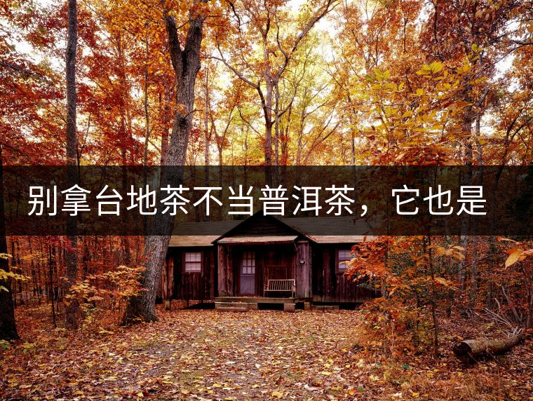 別拿臺地茶不當普洱茶，它也是大葉種喬木