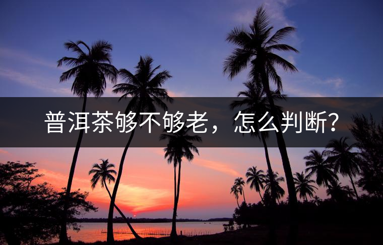 普洱茶夠不夠老，怎么判斷？