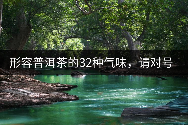 形容普洱茶的32種氣味，請(qǐng)對(duì)號(hào)入座