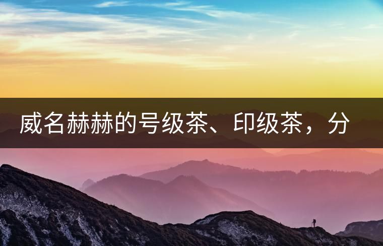 威名赫赫的號級茶、印級茶，分別是些什么普洱茶？