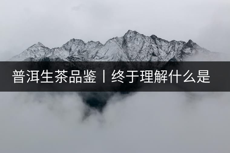 普洱生茶品鑒丨終于理解什么是“醇厚、耐泡，回甘”了