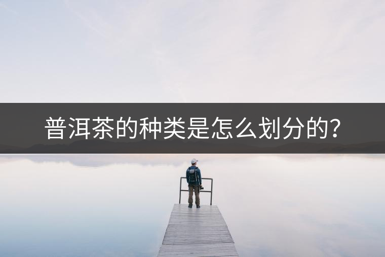 普洱茶的種類是怎么劃分的？