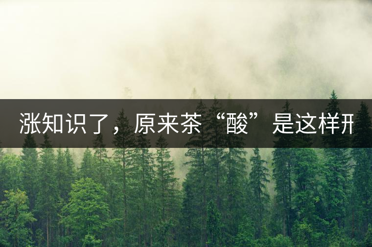漲知識了，原來茶“酸”是這樣形成的！