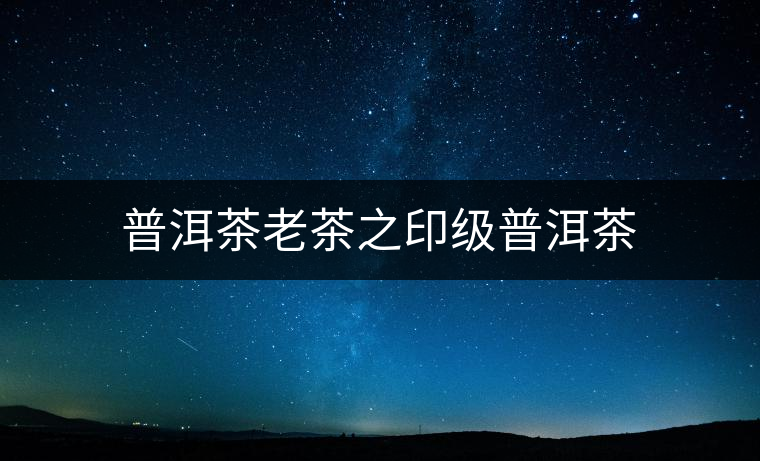 普洱茶老茶之印級(jí)普洱茶