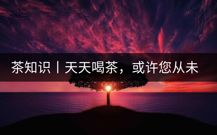 茶知識丨天天喝茶，或許您從未注意過茶樹花