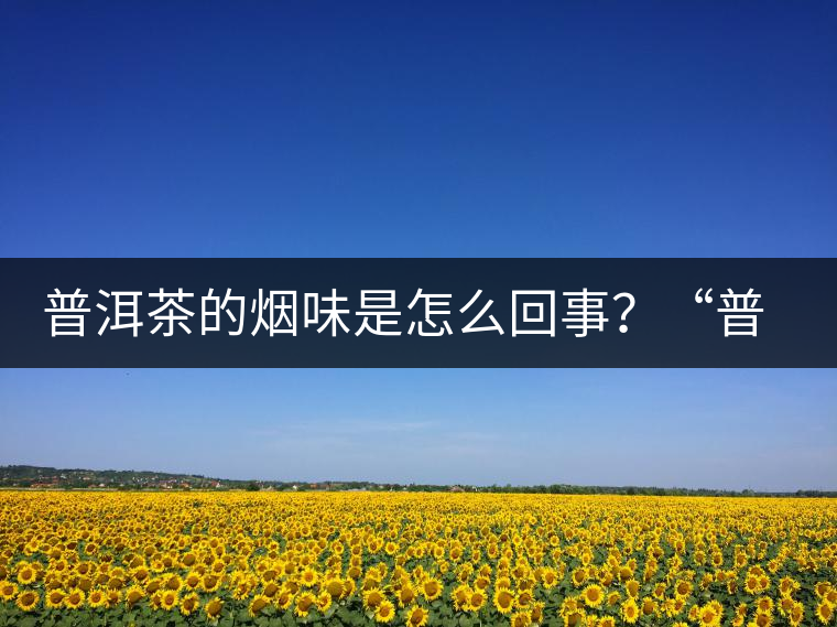 普洱茶的煙味是怎么回事？“普洱教父”白水清最新解析！
