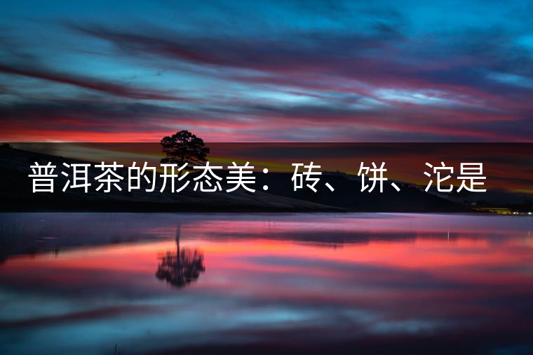 普洱茶的形態(tài)美：磚、餅、沱是如何形成的？