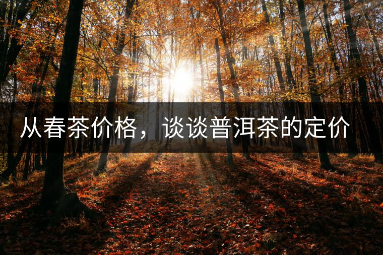 從春茶價格，談談普洱茶的定價權