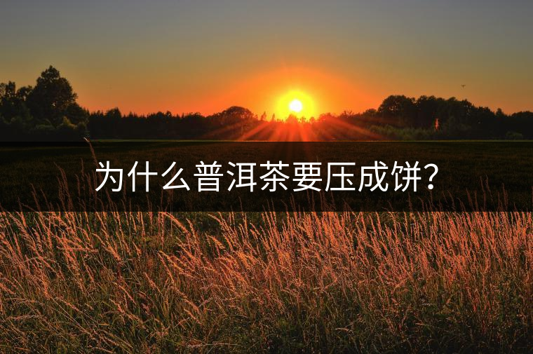 為什么普洱茶要壓成餅？