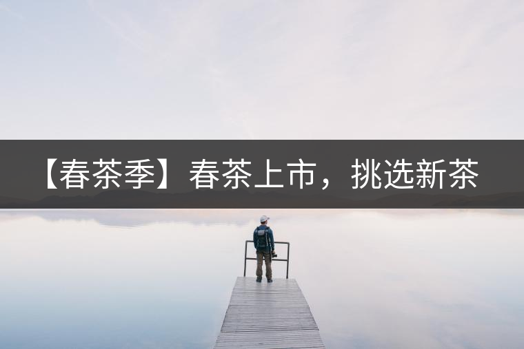 【春茶季】春茶上市，挑選新茶有講究