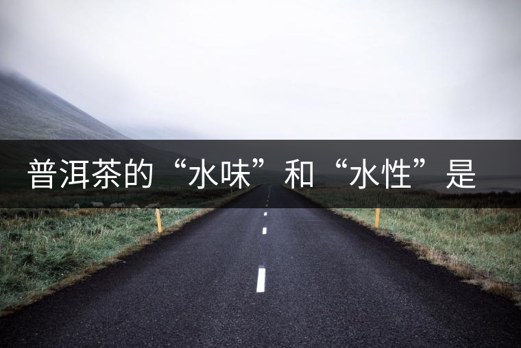 普洱茶的“水味”和“水性”是一種東西還是兩種東西？