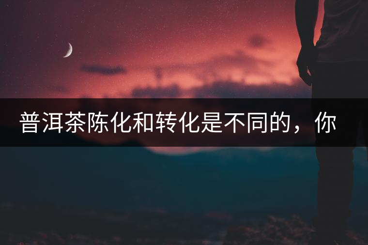 普洱茶陳化和轉(zhuǎn)化是不同的，你造嗎？