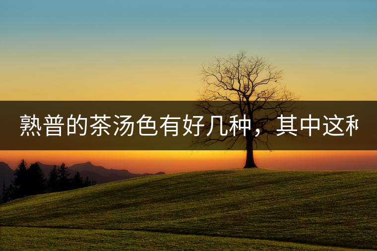 熟普的茶湯色有好幾種，其中這種不建議喝！