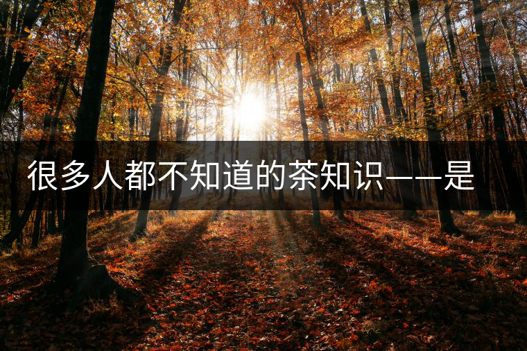 很多人都不知道的茶知識——是什么造就了普洱茶的一山一味？