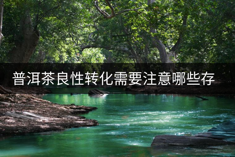 普洱茶良性轉(zhuǎn)化需要注意哪些存放問題？