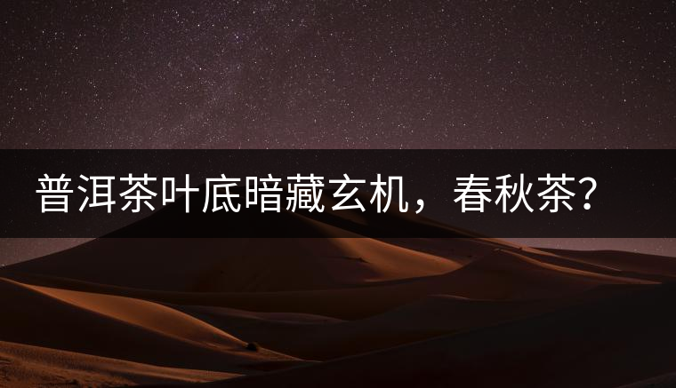 普洱茶葉底暗藏玄機(jī)，春秋茶？大樹茶？野生茶？班章料？你讀懂了嗎？