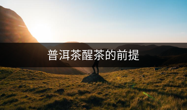 普洱茶醒茶的前提