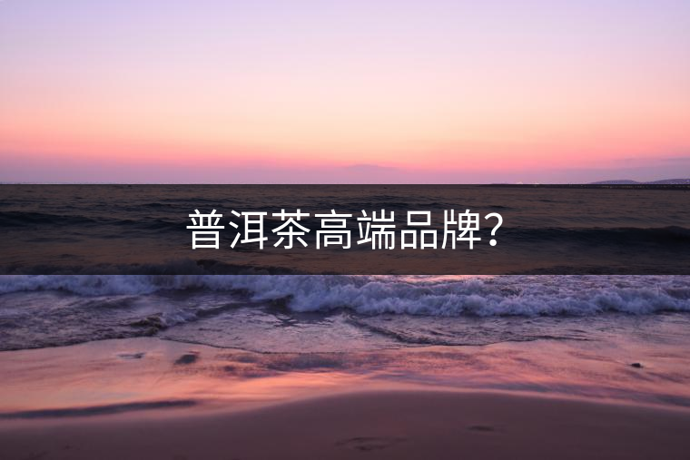 普洱茶高端品牌？
