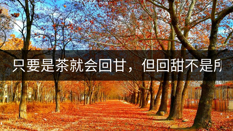 只要是茶就會回甘，但回甜不是所有茶都有！