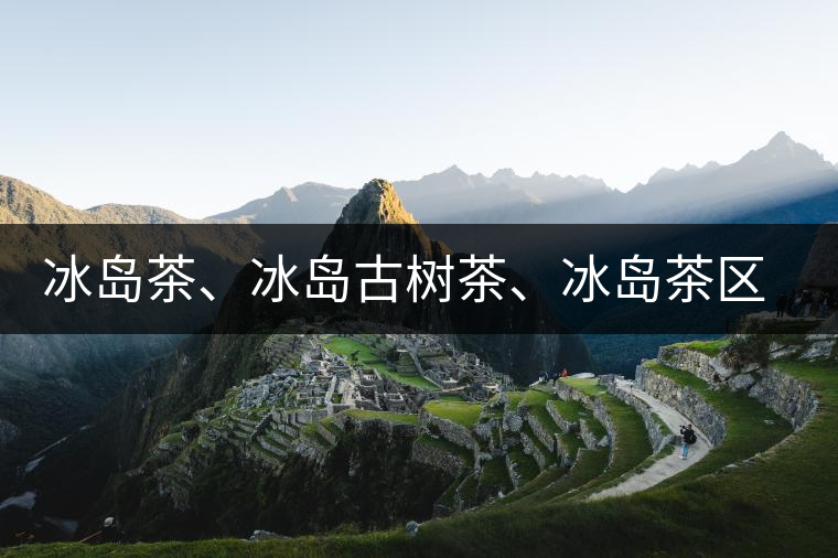 冰島茶、冰島古樹(shù)茶、冰島茶區(qū)茶、冰島茶區(qū)古樹(shù)茶