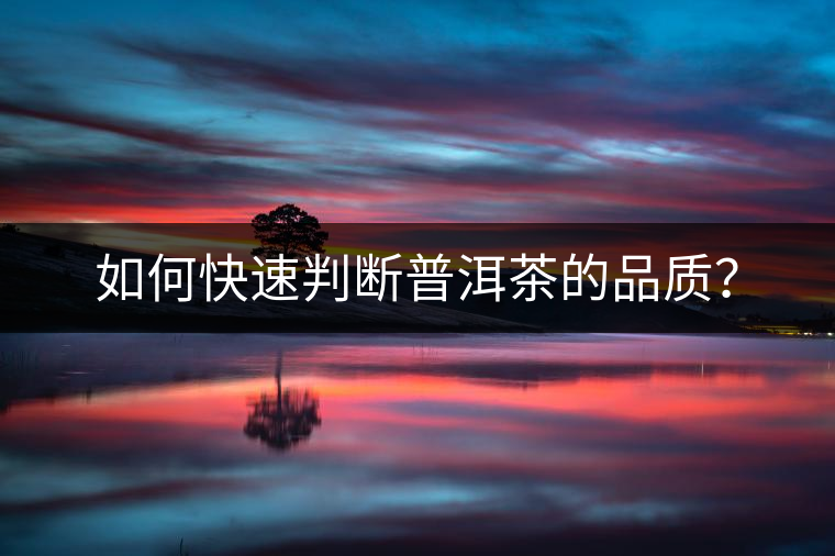 如何快速判斷普洱茶的品質(zhì)？