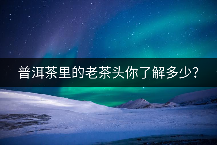 普洱茶里的老茶頭你了解多少？