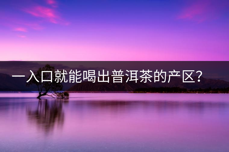 一入口就能喝出普洱茶的產(chǎn)區(qū)？怎么能不讀這篇文章呢？