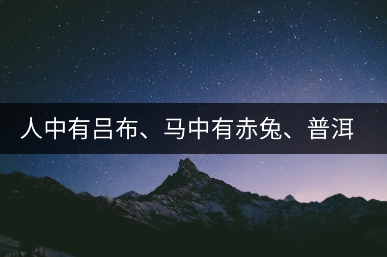 人中有呂布、馬中有赤兔、普洱中有茶化石：碎銀子！
