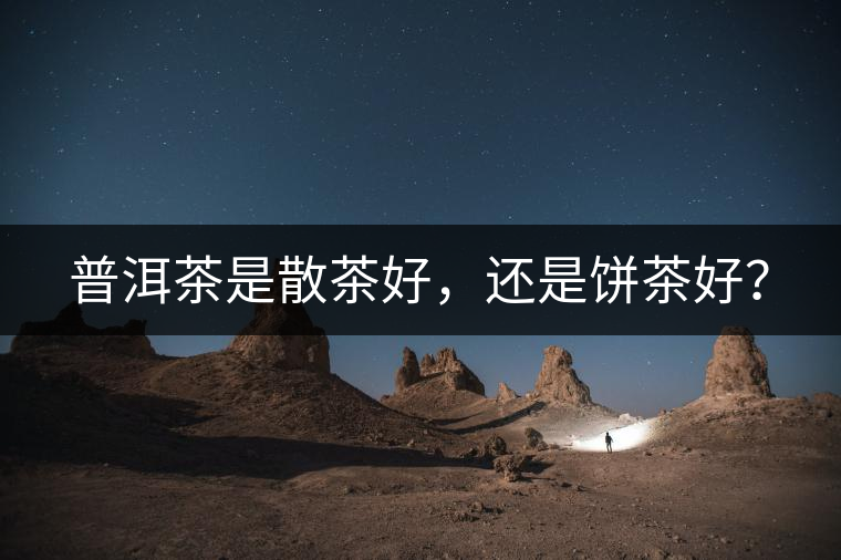 普洱茶是散茶好，還是餅茶好？