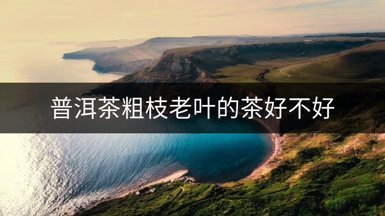 普洱茶粗枝老葉的茶好不好 普洱茶粗枝老葉的茶好不好